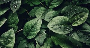 The best ways to utilize GRS recycled sewing thread