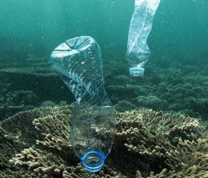 Empty bottles discarded in the ocean