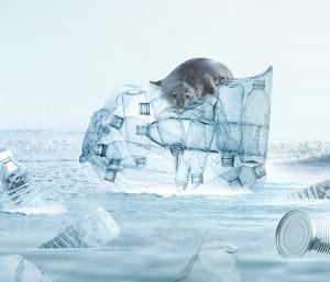 Protecting the living environment of marine organisms