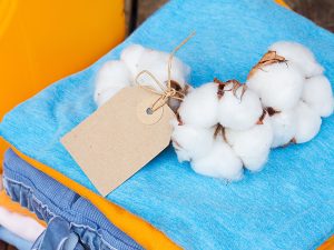 Cotton bolls tied with twine on folded blue fabric with a brown tag attached.