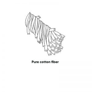 Line drawing of several bundled cotton fibers with a label that reads 'Pure cotton fiber' underneath.