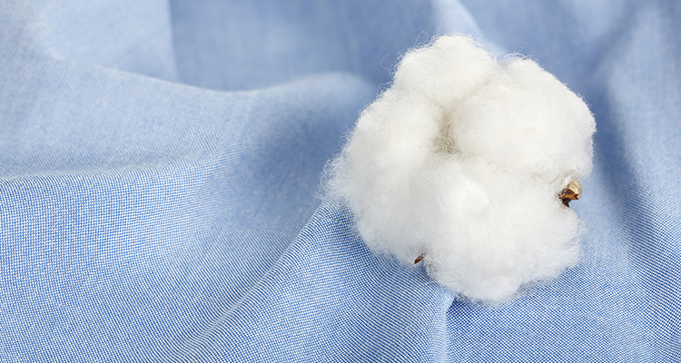 Classification and names of cotton spinning yarn products