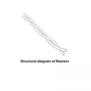 Structural diagram of filament: a simple line drawing of two intertwined strands