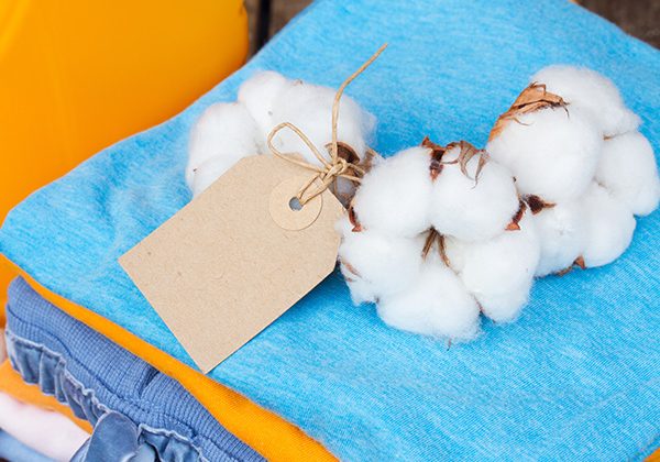 Cotton bolls tied with twine on folded blue fabric with a brown tag attached.
